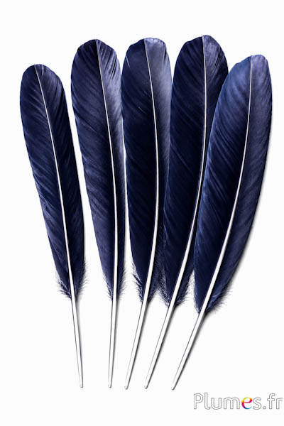 Schwan Seide - 25-30 cm - schwarz
